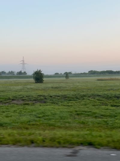 The image depicts a rural landscape with a vast expanse of green grass. In the distance, a tall metal electricity pylon stands prominently against a soft, pale sky. Several trees are scattered across the field, with one larger tree located closer to the foreground. A thin layer of mist or fog hovers low over the ground, adding a hazy quality to the scene. The foreground shows a blurry gray surface, likely a road or path, indicating the image was taken from a moving vehicle. The environment appears tranquil and undeveloped, typical of the outskirts of a city like Verkh-Tula, Russia. There are no people or animals visible in the frame.