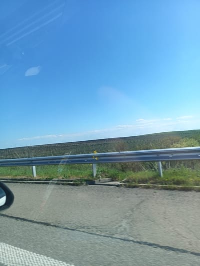 The image shows a view from a moving vehicle, likely a car, traveling along a road in Vratitsa, Bulgaria. The sky is clear and blue. A metal guardrail is visible along the side of the road, with grass and vegetation growing between it and a large agricultural field. The field appears to be a vineyard, with rows of grape vines stretching into the distance. The asphalt road shows signs of wear and tear. A side mirror of the vehicle is visible in the lower left corner of the frame. The perspective suggests a low angle, likely from the driver or a passenger in the vehicle.