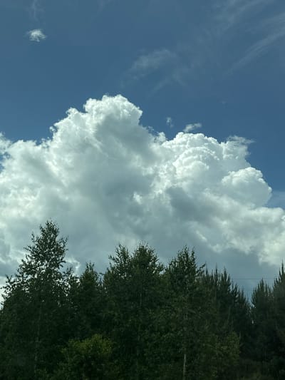 The image depicts a clear blue sky with fluffy white cumulus clouds dominating the upper half. Below the sky, a dense line of dark green trees stretches across the bottom of the frame. The trees appear to be a mix of deciduous and coniferous species, with some taller, more pointed evergreens visible towards the right. The overall impression is of a natural landscape under a bright, partly cloudy day. The location in Iltebanovo, Russia, is noted, but no specific landmarks or urban elements are visible to confirm this within the image itself. The scene is static, with no people or animals present, and no actions taking place. The lighting suggests it is daytime.