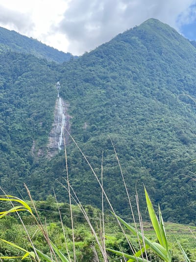 A tall, thin waterfall cascades down the rocky face of a densely forested mountain. The mountain is covered in a thick canopy of green trees, with patches of exposed rock visible where the waterfall descends. The sky above is cloudy, with some patches of blue visible. In the foreground, tall blades of grass and reeds are in focus, obscuring the lower part of the mountain and a power line with two poles. The scene is likely in a rural or mountainous area, possibly within the region of Bình Lư, Vietnam, known for its natural landscapes. There are no people or animals visible in the image.