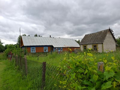 This is a medium-shot, eye-level, outdoor, daytime, full-color photograph of two rural houses situated in what appears to be the Дубровенскі сельскі Савет, Belarus. The sky is overcast with dense, grey clouds. In the foreground, a chain-link fence with rusted metal posts and concrete supports runs diagonally across the image from the lower left to the lower right. Lush green grass and foliage, including a large leafy vine in the lower right, obscure the lower portion of the fence.
To the left, a traditional wooden house with orange siding and a light-colored metal roof with visible patches of rust is partially visible. It features blue window frames with intricate lattice patterns. Behind this house, a red metal gate is leaning open amongst dense green foliage. A utility pole stands to the left of this house.
To the right, a smaller, single-story house constructed of light-colored brick with yellow and green horizontal decorative bands is visible. This house has a steeply pitched, aged, grey corrugated roof and a simple wooden ladder leaning against its gable end. The windows of this house are boarded up or broken. The area surrounding both houses is covered in tall, overgrown green grass, indicating a rural or semi-abandoned setting. The overall impression is one of a somewhat neglected, rustic rural environment.