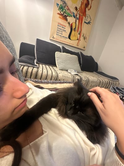 The image shows a person lying down with a long-haired black cat resting on their chest. The person is wearing a light-colored sweater or shirt. One of their hands is gently touching the cat. The background includes patterned cushions and a vintage movie poster. The location is not evident from the image. I cannot see any indication of the city of Lourmarin, France.