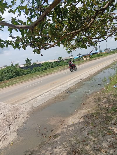 The image depicts a paved road in Igrita, Nigeria, with a motorcycle carrying two individuals traveling along it. The road is bordered by a grassy area with trees and foliage on one side, and a sandy area with puddles of water on the other. Overhead, tree branches with green fruit extend into the frame. In the background, there are buildings, possibly industrial, and a crane is visible. The sky is partly cloudy. The immediate foreground shows debris and puddles, suggesting recent rain or flooding.