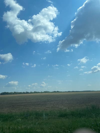 The image depicts a vast, open field under a bright blue sky dotted with fluffy white clouds. The field in the foreground is a mixture of dark, tilled soil and green grass with scattered small flowers. In the mid-ground, a brown, sparsely vegetated field stretches towards the horizon, where a line of trees forms a distant border. The sky is a dominant element, with large, billowy clouds and shafts of sunlight breaking through. There are no people or man-made structures visible in the image. The overall impression is one of a rural, agricultural landscape. The location is specified as Proletarskii, Russia, suggesting a scene typical of the Russian countryside during a sunny day.