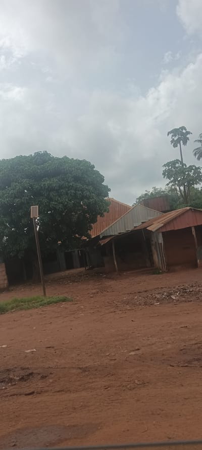 The image shows a street in Oto, Nigeria. The ground is reddish-brown dirt. On the left is a large tree obscuring the view. In the background are several buildings with corrugated metal roofs, some rusty. One building has a partially covered front, supported by wooden posts. The sky is overcast. There is a tall thin tree behind the roofs, with leaves only on the top.