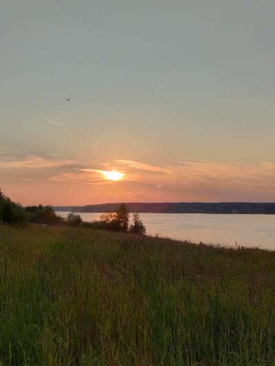 This media file captures a serene sunset over a body of water, likely the Klyazma Reservoir in Russia, as suggested by the location context. The scene is dominated by a wide, calm river or lake reflecting the soft, warm hues of the setting sun. The sky transitions from a pale grey at the top to vibrant oranges and pinks near the horizon, painted with wispy clouds that catch the fading light.
In the foreground, a field of tall, green grass and reeds stretches towards the water, creating a natural, untamed boundary. The grass appears slightly darker in the lower portions, indicating the approaching evening and perhaps a subtle shift in light. Amidst the reeds, hints of darker, dried seed heads suggest the late summer or early autumn season.
Along the opposite bank of the water, a dark, tree-lined silhouette of the land forms a distant horizon. A few small boats are visible on the water, and a structure that resembles a pier or pontoon can be seen near the middle distance on the left, suggesting human presence and recreational activity. A single airplane is a tiny speck in the vast expanse of the sky, adding a touch of scale to the landscape. The overall mood is tranquil and peaceful, evoking a sense of calm at the end of the day. The time of day is clearly sunset. No text is visible in the image.