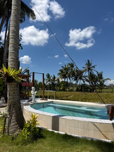 The image presents a scene in Gubug, Indonesia, showcasing a swimming pool bordered by lush greenery. Palm trees and rice fields form the backdrop against a clear blue sky dotted with white clouds. The pool is edged with light-colored tiles and a narrow strip of grass. A wooden structure, possibly a swing set or decorative feature, stands near the pool's edge, adjacent to a small statue. A mature palm tree trunk with an epiphytic plant attached is visible in the foreground. A utility line stretches across the sky.