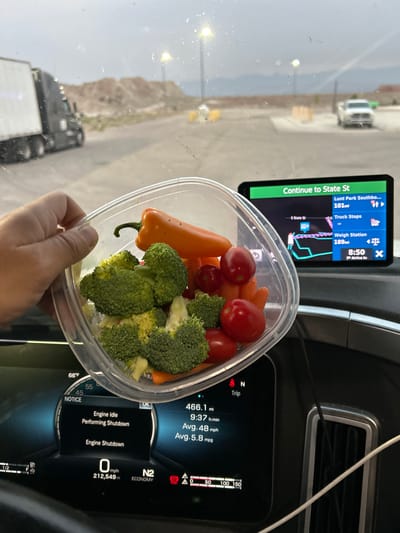 The image shows a close-up of a person's hand holding a clear plastic container filled with raw vegetables, including broccoli florets, baby carrots, and cherry tomatoes. The container is positioned in front of a car's dashboard, which displays navigation and vehicle information.
To the left of the vegetables, a tablet-like GPS device shows a map with a route, indicating "Continue to State St" and "Lunt Park Southbo..." with 101 miles remaining. It also shows "Truck Stops" and "Weigh Station" with 189 miles remaining, and a time of "8:50".
The dashboard screen on the right displays trip details: "466.1 mi", "9:37 h:min", "Avg. 48 mph", and "Avg. 5.8 mpg". Below this, a message reads "Engine Idle", "Performing Shutdown", and "Engine Shutdown", with the vehicle's speed showing "0 mph" and an odometer reading of "212,549 mi". The dashboard also indicates "N2 ECONOMY".
In the background, visible through the windshield, is an outdoor scene. A blurry white car is visible in the distance, along with some rocky terrain and vegetation. A large truck is also partially visible on the left. The lighting suggests it might be daytime, possibly late afternoon given the time on the GPS. The overall impression is that the person is in a vehicle, likely a truck, taking a break or preparing to resume driving, and is consuming a healthy snack. The "Salina, United States of America" location context provides a geographical clue.