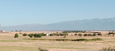 This image depicts a rural landscape with a clear, light blue sky. In the foreground, dry, golden-brown grasses cover the ground, with some patches of green vegetation. Several trees are scattered across the middle ground, some appearing as lush green bushes and others as larger, more mature trees.
In the middle ground, there is a cluster of buildings, including white structures that appear to be houses and possibly a larger agricultural building. Some of these buildings are surrounded by trees and fences. A tall, lattice-like tower, likely a radio or transmission tower, is visible behind these buildings. In the distance, a range of hazy, blue mountains forms the horizon. Power lines and tall, industrial-looking towers are also present in the landscape, suggesting the proximity of infrastructure. The overall impression is one of a dry, agricultural area with some development. The scene is set in Oropesa, Spain.