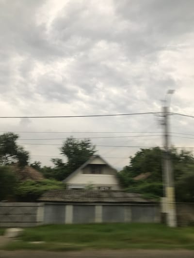 The image presents a blurred, overcast daytime scene captured from a horizontally moving perspective in Nicolae Bălcescu, Romania.

The upper half of the frame is dominated by a dense, uniformly grey sky featuring a texture consistent with altocumulus or stratocumulus clouds. Below the sky, multiple horizontal power lines traverse the mid-section of the image, with a more prominent, thicker line positioned slightly above the central horizontal axis. On the far right, a tall, slender utility pole, heavily motion-blurred, extends from the mid-ground into the sky, revealing indistinct cross-arms and a lighter rectangular object attached at its mid-height.

Below the power lines, dense green foliage from various trees is visible, heavily blurred due to motion. Partially obscured by the trees on the left is a house with a reddish-brown tiled gabled roof. To the right and center, a distinct white two-story house is visible, featuring a prominent dark-roofed gable dormer on its upper floor. In front of these structures, a low, grey, segmented concrete wall or fence runs horizontally across the frame, exhibiting darker, rectangular panels or sections. The foreground, comprising approximately the bottom quarter of the image, consists of heavily motion-blurred green grass, indicative of roadside vegetation. No people, animals, or specific actions or interactions are discernible within the scene. The pervasive horizontal motion blur indicates the camera was in motion relative to the stationary environment during the capture.