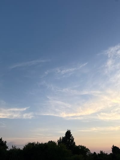 The image depicts a twilight sky over a silhouetted treeline in Vol'noe, Russia. The sky transitions from a deep blue at the top to lighter shades of blue, pink, and orange near the horizon, indicating the setting or rising sun. Wispy cirrus clouds are scattered across the sky, catching the fading light. The foreground is dominated by the dark silhouettes of various trees and foliage, with a few indistinct structures or possibly utility lines visible amongst them. No people or specific actions are discernible in the scene. The overall environment appears to be rural or on the outskirts of a settlement.