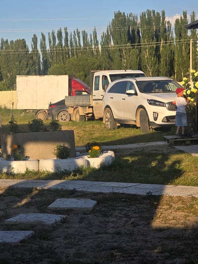 The image depicts a sunlit outdoor scene with a focus on several vehicles parked on a dirt and grassy area. In the foreground, a paved walkway with decorative stone inserts runs along the right side, bordered by grass and some small flowering plants. Beyond the walkway, the ground transitions to dry dirt with sparse vegetation.
Dominating the center of the image are two white vehicles, a car and a truck, parked side-by-side. The car, a white SUV, is positioned in front of the truck. A person wearing a red cap, white t-shirt, and denim shorts is standing next to the car, seemingly interacting with it. Behind the white truck, a red truck is visible, partially obscured by the white truck. Further back, a large white truck with the word "BRAVO" visible on its side is parked. In the background, a dense line of tall, slender green trees stretches across the frame, with a clear blue sky above. Yellow flowers are blooming on a bush to the left of the white SUV.
The lighting suggests it is late afternoon or early evening, with long shadows cast across the ground. The overall atmosphere is one of a rural or semi-rural setting, possibly a driveway or a lot near a residence. The weather appears to be clear and warm.
