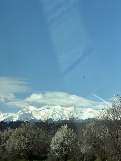 The image shows a landscape in Kraishte, Bulgaria. Snow-capped mountains rise next to a line of trees, some with white blossoms, under a blue sky with wispy clouds. A small bird is visible in the sky. The image appears to have been taken through glass, as indicated by the reflections.