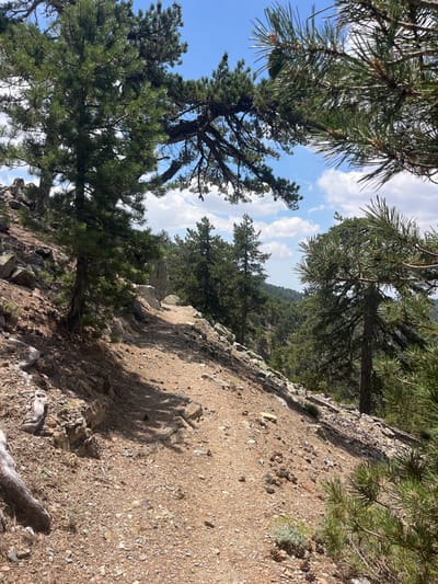 The image shows a rocky, dirt hiking trail winding through a pine forest. The path is illuminated by dappled sunlight, casting shadows from the surrounding trees. The terrain is uneven, with loose stones and pine needles covering the ground. In the foreground, a large pine tree branches out over the path. In the background, the forest stretches out, with more pine trees dotting the landscape under a bright blue sky with scattered white clouds. This scene is characteristic of the mountainous regions around Prodromos, Cyprus, known for its pine forests and hiking trails.
