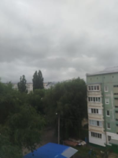 The image depicts an overcast day in Pravokubansky, Russia, with a view of residential buildings and trees. In the foreground, a portion of a blue structure, possibly a rooftop or awning, is visible. To the right, a multi-story apartment building with light-colored balconies and green siding stands prominently. Adjacent to the building, a dense cluster of dark green trees dominates the midground. Further back, two slender trees with distinct, dark foliage rise above a blurred backdrop of other buildings and more trees. The sky is completely covered by thick, grey clouds, creating a diffused and somber light. The overall scene is characteristic of a cloudy day in a typical urban or suburban residential area.