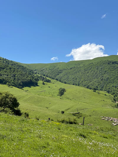 A wide-angle, vertical photograph captures a lush green hillside under a bright blue sky with scattered clouds, characteristic of the countryside near Aygehat, Armenia. The foreground is dominated by a sloping meadow dotted with small white and yellow wildflowers. A large, dense tree with dark green foliage stands on the left.
The middle ground reveals rolling green hills, some sparsely populated with trees, while others are covered in dense forest. Shadows suggest the sun is high in the sky. Several indistinct, dark shapes are visible on the grassy slopes, possibly sheep or other livestock. Two rustic wooden posts, one upright and one leaning, stand in the middle distance, along with a small cluster of flat, grey stones arranged in a rectangular formation. A dirt path is faintly visible winding up one of the hills.
The background features a larger, more heavily forested mountain range that extends across the frame, its upper slopes bathed in sunlight. The overall impression is one of natural beauty and rural tranquility.