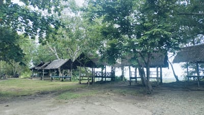 The image captures an outdoor scene featuring several rustic, open-sided huts or gazebos situated amidst abundant green trees. The setting appears to be a natural, possibly recreational or communal area, consistent with the location context of Lonbaroh, Indonesia.
The primary subjects are approximately five huts, each with a steeply pitched thatched roof made of dried leaves or grass. They are constructed from wood, featuring vertical posts and horizontal railings, some of which incorporate decorative X-shaped cross-bracing. Inside the huts, simple wooden benches or seating structures are visible.
The ground in the foreground consists of a dirt path or road, transitioning to patches of sparse grass, gravel, and exposed tree roots around the huts. Lush green foliage from various trees dominates the upper and background portions of the image, creating a canopy and providing ample shade. Through gaps in the huts on the right side, a distant landscape, possibly a valley or lower terrain, can be seen, suggesting the huts are built on an elevated viewpoint.
No people are present, and there is no discernible activity taking place, lending a peaceful and quiet atmosphere to the scene. A motorcycle is partially visible behind the leftmost hut in the distance. The lighting is soft and diffused, indicating either an overcast sky or the cooler hours of the day, such as early morning or late afternoon, as there are no harsh shadows. The overall impression is one of natural tranquility and a simple, traditional design. There is no visible text in the image.