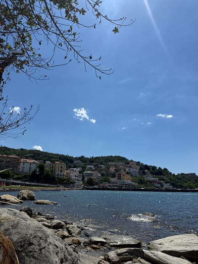 The image depicts a coastal scene in Agropoli, Italy, featuring a hillside densely populated with residential buildings cascading down to the sea. The foreground shows a rocky shoreline with various-sized gray rocks. The sea, reflecting sunlight, stretches out to the horizon, while the hillside is covered with lush green vegetation interspersed with buildings of varying colors and architectural styles. The sky above is a clear blue with scattered white clouds. The presence of branches and foliage in the lower-left corner suggests the viewpoint is from a slightly elevated position within a natural setting.