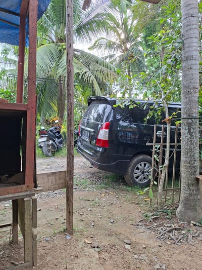 This image captures an outdoor scene, likely a rural or semi-rural setting, in Meunasahreudeup, Indonesia. The primary subjects are a black sport utility vehicle (SUV) and a black motorcycle, both parked on unpaved ground.
The black SUV is visible from its rear-right side, positioned next to a large tree trunk on the right of the frame. Its license plate, "BL 1365 MW," is clearly legible. The SUV features silver alloy wheels and red taillights. Further back and slightly to the left of the SUV, a black motorcycle is parked, showing its rear wheel and seat. Its license plate reads "BL 3180 AY."
The environment is lush with vegetation, dominated by tall palm trees with green coconuts, particularly in the upper-left and center-left background. Bright sunlight filters through the palm fronds, indicating daytime with clear weather. A prominent, textured tree trunk runs vertically down the right side, bordering the area where the SUV is parked. The ground beneath the vehicles and extending into the middle-right of the frame is unpaved, composed of dirt, gravel, and sporadic grass.
In the immediate foreground, a rustic structure made of wooden planks and rusty metal beams partially obscures the view. A blue tarp or fabric is visible on the left side of this foreground structure, possibly part of a shed or a makeshift shelter. No people are present in the image.