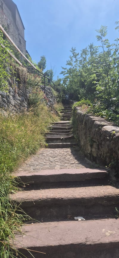 This media file captures an outdoor scene, likely in Sargans, Switzerland, during daylight hours. The image features a stone staircase winding upwards along a steep, rocky embankment overgrown with lush green foliage and tall grasses. The stairs themselves are constructed from rough-hewn stone, with some appearing weathered and worn. Adjacent to the stairs, the rocky terrain is interspersed with patches of wild vegetation and small flowering plants.
On the left side of the image, a building with a grey, textured facade is partially visible, suggesting an urban or semi-urban environment. A wooden railing runs alongside the stairs and the building, providing support and safety for those ascending or descending. The sky above is a clear, bright blue, indicating fair weather conditions.
The overall impression is one of a natural, somewhat rugged pathway leading up a hillside, possibly part of a hiking trail or a scenic route. The presence of the building and railing hints at human interaction with the natural landscape, perhaps a historical site or a public access area. The image is oriented vertically, with the stairs and embankment dominating the frame, leading the viewer's eye upwards. There is no discernible text within the image.