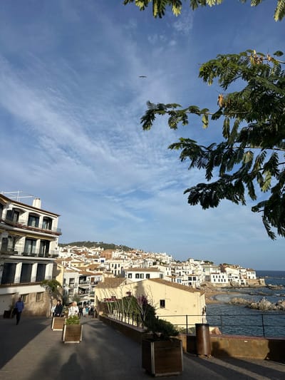 This image captures a daytime scene in Calella De Palafrugell, Spain. The upper frame shows a clear blue sky with scattered wispy white clouds; a single dark bird is visible in flight in the upper center. Green foliage from an unseen tree frames the top and upper-right.
On the left, a multi-story white building with dark-railed balconies is prominent. A sloped paved walkway descends from the left foreground, bordered by four rectangular wooden planters containing green vegetation. Five individuals are visible on the path: one male in a blue shirt walks on the left side, and a group of four people walks together further down the path, near the center.
To the right of the walkway, a light-colored building runs parallel, fronted by a black metal railing and sparse flora, including hints of purple. Beyond this, a dense cluster of white buildings with orange-tiled roofs descends a hillside towards the sea. The Mediterranean coastline is visible on the right, featuring blue water, rocky formations extending into the sea, and a small sandy beach. A dark, cylindrical metal object, likely a waste bin or bollard, is located on the right edge of the walkway, adjacent to the railing.