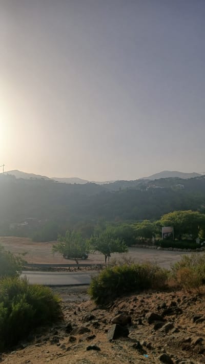 The image depicts a scenic landscape in Benahavís, Spain, likely during sunrise or sunset given the soft, diffused light. In the foreground, a rocky, arid terrain is visible, sparsely covered with dry grass and shrubs. A paved road curves through the mid-ground, bordered by more vegetation and a low barrier.
Further back, a small, dark-colored car is parked on a dirt area next to the road, surrounded by scattered trees. Beyond this, rolling hills covered in dense green foliage rise, with scattered houses and buildings dotting the slopes. The distant mountains are shrouded in a light haze, with the sky above transitioning from a bright, pale yellow near the horizon to a muted blue. A construction crane is faintly visible on the far left, suggesting ongoing development in the area. The overall impression is one of natural beauty with evidence of human settlement and infrastructure.