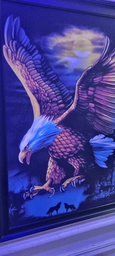 A framed painting hangs on a wall, depicting a large, stylized eagle in flight. The eagle is rendered in shades of purple, blue, and orange. The head is blue, with a white beak. The body appears to be covered in scale like plumage. The wings are spread wide, with feathers detailed in shades of purple and gold. In the background, there is a hint of light, possibly from a moon or sun, and the shadows of other birds flying. The painting is framed in a black frame. The location is unknown, and Aiyetoto-Asogun, Nigeria cannot be confirmed.