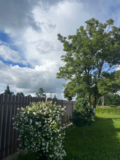 The image depicts a backyard scene on a cloudy day in Серебрянский, Russia. A wooden fence runs horizontally across the left side of the frame, behind which are various trees. In the foreground, a bush laden with white flowers, likely jasmine, is prominent. To the right of the flowering bush is a small evergreen tree, and further to the right, a larger deciduous tree with green foliage. The ground is covered in green grass, with some white clover flowers visible. In the background, beyond the fence, a power pole with wires is visible. The sky is filled with dramatic, heavy clouds, with patches of blue sky peeking through.