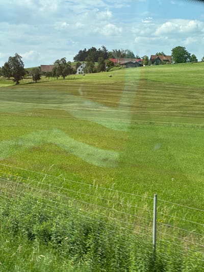 The image depicts a rural landscape in Wasserburg (Bodensee), Germany, on a sunny day with scattered clouds. The scene is a green field with distinct rows of mowed grass, indicating recent agricultural activity. The field slopes gently, and a series of lighter green stripes suggests areas where grass has been cut and possibly raked or baled.

In the background, a cluster of buildings with red-tiled roofs, typical of Bavarian architecture, are nestled amongst trees. One building appears to be a house with white walls and a dark roof, while others are partially obscured. The presence of these buildings suggests a small village or a collection of farmhouses.

The foreground is dominated by the mowed field and a fence with thin white wires running horizontally, possibly an electric fence for livestock or to delineate property. A grey post supports the fence. Beyond the mowed area, the grass is taller and denser, with some patches of yellow wildflowers visible.

The overall impression is one of a peaceful, agricultural setting. The lighting suggests it is daytime, likely late morning or afternoon, given the bright sunlight and clear sky. There are no people visible in the image. The image appears to be taken from a slightly elevated perspective, possibly from a vehicle or a hill. The rotation of the image suggests it was taken with the device held vertically.