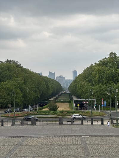 The image shows a view of a long, tree-lined avenue stretching into the distance, with modern buildings visible on the horizon. The avenue is flanked by dense green trees on either side, forming a clear pathway. In the foreground, there is a cobblestone area and a black metal fence. Beyond the fence, a road with several cars is visible. Some cars are driving on the road, while others are parked. There is a tunnel entrance on the right side of the image. The sky is overcast and gray. A person is seen walking on the cobblestone path in the lower right corner of the image. The location is identified as Koekelberg, Belgium, likely depicting the view from the Basilica of the Sacred Heart, looking down towards the city center.