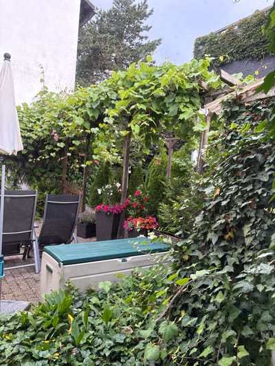 The image depicts a lush, green backyard patio area, likely in Mülheim an der Ruhr, Germany, characterized by abundant vegetation and outdoor furniture. In the foreground, a large, beige storage box with a dark green lid sits amongst dense green foliage. To the left, two dark-colored lounge chairs are positioned on a paved patio. A white umbrella is partially visible on the far left. Overhead, a wooden pergola is heavily draped with vibrant green grapevines, some bearing small pink flowers.

The middle ground features several planters filled with colorful flowers, predominantly pink and red, interspersed with dark green coniferous plants. A rustic wooden fence is visible behind the planters. The background shows more greenery, including a wall covered in ivy and a tall evergreen tree. The sky is overcast, suggesting a cloudy day. The overall impression is of a well-maintained, shaded outdoor space.
