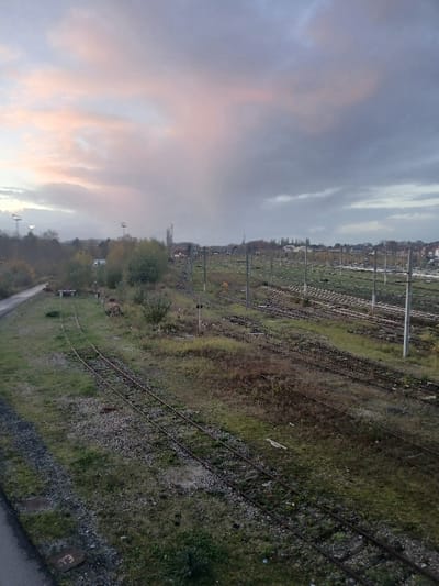 The image, when properly oriented, presents an expansive view of a railway yard or junction under a cloudy sky. Numerous parallel and diverging railway tracks, some appearing well-maintained and others overgrown with grass and weeds, stretch across the midground and into the distance. The ground between and beside the tracks is covered in green and brown vegetation, interspersed with gravel and ballast.
Several slender poles or pylons, likely for electrical lines or signals, are visible running alongside the tracks. In the background, a distant urban or semi-urban landscape emerges, featuring a cluster of buildings and structures, possibly including a taller spire or chimney.
The sky, occupying the upper half of the image, is predominantly grey and overcast but shows soft patches of pink, orange, and light blue, indicating either a sunrise or sunset. The light is diffused, suggesting a peaceful, muted atmosphere.
In the bottom right corner, a paved path or road runs parallel to the nearest set of tracks. Adjacent to this, a rectangular concrete slab is visible, bearing faint, indiscernible markings or text, possibly resembling the letter "E" or the number "3". There are no people visible, and no specific activity is taking place, presenting a still, observational scene of the railway infrastructure near Béthune, France.