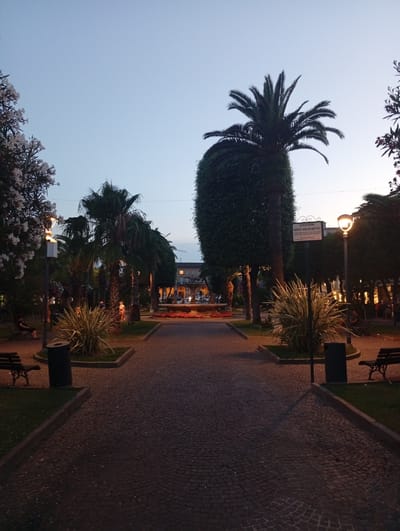 The image depicts a public park in Civitanova Marche, Italy, at dusk. A paved pathway, laid with cobblestones, runs through the center of the frame. On either side of the pathway are grassy areas with benches and trash receptacles. Several palm trees are visible, some of which are tall and slender, while others are bushier. One particularly large palm tree has been meticulously trimmed into a conical shape.
In the background, a fountain with red flowers surrounding it can be seen. Beyond the fountain, a building with a clock tower is illuminated. A streetlamp with a warm glow lights up the immediate foreground. There are a few people in the park, some sitting on benches and others walking, but they are not prominently featured and their actions are not clearly discernible due to the low light conditions. The sky is a pale, dusky blue, indicating the transition from day to night. A signpost is visible near the center of the image, with Italian text.