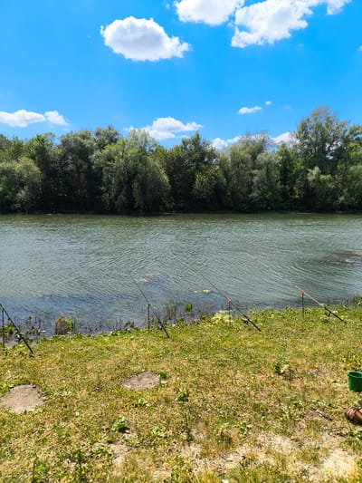 The image depicts a scenic view of a riverbank in Заплавская, Russia, under a bright blue sky with scattered white clouds. The foreground is a grassy area with patches of dry grass and some small stones. Several fishing rods are set up along the river's edge, with their lines cast into the water. A green bucket and what appears to be a person's leg and foot are visible on the right side of the frame, suggesting someone is actively fishing. The river itself is wide and calm, reflecting the surrounding lush green trees that form a dense treeline along the opposite bank. The overall impression is one of a peaceful, outdoor recreational setting.