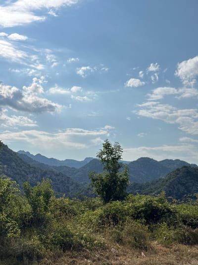 The image depicts a mountainous landscape under a bright blue sky with scattered white clouds. In the foreground, there is dense green vegetation and dry grasses. A lone tree with lush green foliage stands prominently in the middle ground, positioned in front of a series of rolling, tree-covered mountains that recede into the distance. The lighting suggests a daytime scene, likely in the late morning or early afternoon. There are no people or animals visible in the image. The location is described as the city of Dragalj, Montenegro.