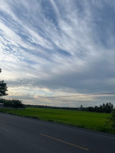 The image captures a scenic view of a road adjacent to a vibrant green paddy field in Banda, Indonesia. The sky is adorned with a striking pattern of wispy, elongated clouds that stretch across the horizon, suggesting a dynamic atmospheric condition. Power lines are visible, stretched between poles, adding a man-made element to the natural landscape. The paddy field itself is lush and evenly cultivated, indicative of agricultural activity. In the background, a line of trees and scattered houses suggest a rural or semi-rural settlement. The road in the foreground is asphalted, with a visible yellow line marking its edge, implying it is a functional thoroughfare. There are no people or animals depicted in the scene. The overall environment is tranquil and pastoral.