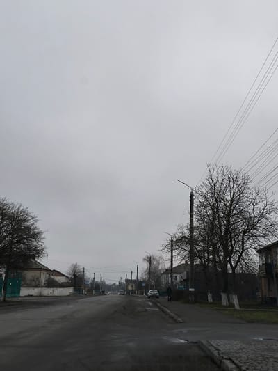 This media file captures a wide-angle view of a grey, overcast street in Illintsi, Ukraine, likely during late autumn or winter, given the bare trees. The scene is dominated by a heavy, uniform grey sky, with a faint circular lens spot visible near the center.
The main subject is a damp, asphalt road, which appears to curve slightly into the distance. Power poles with overhead lines and streetlights line both sides of the street, with a dense network of wires crisscrossing the upper right portion of the frame.
On the left, a single-story house with a light-colored facade and a dark roof is partially visible, fronted by a green gate. Several leafless trees are scattered along the roadside.
On the right, a large bare tree stands prominently. Further down the street on this side, a white sedan is parked, and a pedestrian walks along the sidewalk. A blue and white pedestrian crossing sign is visible near the parked car. In the background on the right, a multi-story building is partially visible. Further into the distance, other single-story residential buildings and more bare trees line the road.
In the middle ground, several cars are seen driving away from the viewer, moving down the street. Another smaller figure appears to be walking on the left side of the road in the distance. The overall impression is one of a quiet, somewhat subdued residential area under a dull, low-light sky, suggesting a cold, possibly damp day. No specific legible text is visible on signs or buildings.