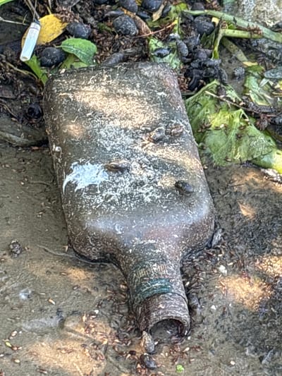 The image shows a dirty, brown glass bottle lying on its side on a muddy surface. The bottle is encrusted with dirt and appears to be old and weathered. There are small dark objects, possibly shells or mussels, clinging to the bottle and scattered around it on the ground. Some green leaves and plant debris are also visible. A white object, possibly a cigarette butt, is partially visible in the lower left corner. The lighting suggests it is daytime, with shadows indicating sunlight. The overall scene appears to be a natural outdoor environment, possibly near water, given the presence of shells and muddy ground. The context provided places the scene in Цярэшкавіцкі сельскі Савет, Belarus. There is no visible text in the image.