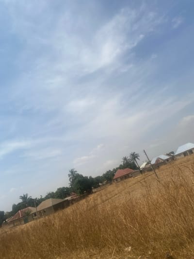 The image displays an outdoor scene in Aboro, Nigeria, captured with a diagonal tilt. The upper portion of the frame features a bright blue sky with scattered, wispy white clouds. The lower half is dominated by an expanse of dry, golden-brown grass and scrub vegetation. In the mid-ground and background, a residential area is visible, consisting of several single-story buildings. These structures exhibit varying roof colors, specifically terra cotta and light blue. Green trees and multiple tall palm trees are interspersed throughout the residential zone. A utility pole with visible wires stands on the right side of the frame, extending towards the background. A small, white satellite dish is mounted near one of the houses on the right. No human subjects, animals, or explicit actions are depicted.