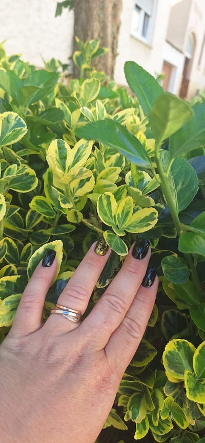 The image shows a close-up of a person's hand with painted nails resting on a variegated evergreen shrub. The shrub has leaves that are a mix of deep green and bright yellow-green, creating a vibrant contrast. The hand has dark, glossy nail polish on most fingernails, with one fingernail featuring a detailed leopard print design. A rose gold ring with small diamond-like stones is visible on one finger. The background suggests an outdoor setting, with a blurred building and possibly a brick wall or textured surface visible on the left side. The lighting indicates it is daytime, with natural light illuminating the scene. The overall impression is one of attention to detail in personal grooming against a natural backdrop.