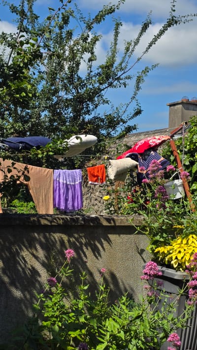 This is a vertical, outdoor, medium shot of laundry hanging on a clothesline in Kilkenny, Ireland. The subjects are various items of clothing, including a red patterned cloth, a blue patterned cloth, a beige pillowcase, an orange pair of shorts, a purple and white tie-dye skirt, and a beige skirt. There is also a white stuffed object that resembles a toy or a pillow. The clothes are hanging from a metal clothesline strung between two supports, one of which appears to be a small concrete structure.

The scene is set against a textured, grey stone wall partially covered in greenery. To the left, a large tree with dark green leaves partially obscures the bright blue sky with wispy white clouds. To the right, lush green foliage with small pink flowers and bright yellow flowers is visible, as well as sunlight casting distinct shadows on the wall.

The time of day appears to be daytime, likely mid-morning or afternoon, given the bright sunlight and strong shadows. The weather seems pleasant and sunny, conducive to drying laundry outdoors. The overall mood is tranquil and domestic, suggesting a normal day in a residential setting. There is no visible text in the image.
