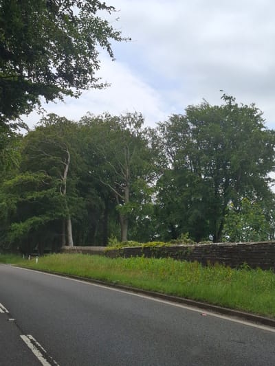 A low-angle, full shot captures a rural roadside scene under an overcast sky. A grey asphalt road with white dividing lines occupies the lower left portion of the frame, curving slightly to the right. Along the right side of the road, a grass verge is bordered by a low, weathered stone wall, approximately waist-high. Beyond the wall, a dense line of mature trees forms a backdrop, their leaves varying in shades of green. The sky above is a pale grey with scattered white clouds. The overall impression is one of a tranquil, bucolic landscape, likely in a rural setting on the outskirts of Barnsley, United Kingdom, given the typical road and wall construction seen in such areas. No people or animals are present in the image.