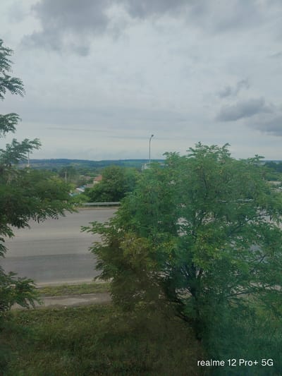 The image displays a view of a rural or semi-rural area, likely on an overcast day. In the foreground, there is lush green foliage from trees. A paved road runs horizontally through the middle ground, with a grassy area and more vegetation on either side of it. Beyond the road, there is a landscape with scattered houses and more trees, indicating a populated area. In the distance, rolling hills and a hazy horizon are visible under a sky filled with gray clouds. A single lamppost is also visible to the left of the center. The bottom right corner of the image features the text "realme 12 Pro+ 5G". The location is specified as Alekseevka, Russia.