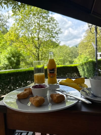 The image shows a table setting outdoors, likely a patio or balcony, with a view of greenery and the sky.
On the table, there is a plate with what appear to be fried delicacies (possibly arancini or similar), accompanied by a small cup of a red jam or sauce. Next to the plate, there is a glass and a bottle of orange juice. A cup and saucer are placed on top of a napkin. The view from the table looks out onto a green area with trees and foliage. The sky is visible above, with some clouds.
There are no people visible in the shot.
I can not confirm the exact location is Milanovo, Bulgaria as the provided image does not explicitly indicate the location.