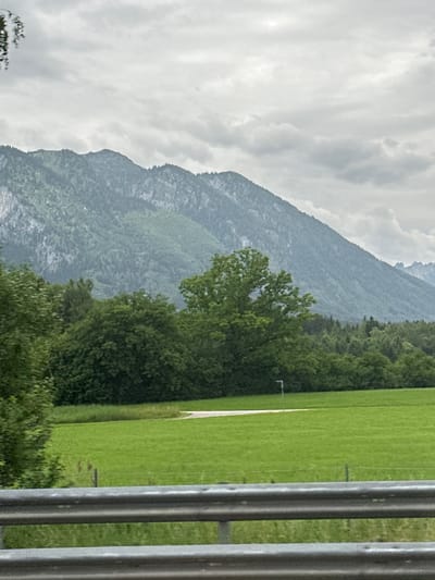 The image depicts a serene landscape scene, likely captured from a moving vehicle due to the presence of a metal guardrail in the foreground. The background features a majestic mountain range, its slopes covered in lush green vegetation and shrouded in a soft, overcast sky. In the mid-ground, a verdant, rolling meadow stretches out, bordered by a dense forest of trees. A winding white path cuts through the meadow. The overall atmosphere is tranquil and natural, typical of rural landscapes. Viehhausen, Austria, is a village in the state of Salzburg, known for its picturesque alpine scenery, which aligns with the visual elements presented in the image. There are no people or any specific actions or interactions visible in this scene.