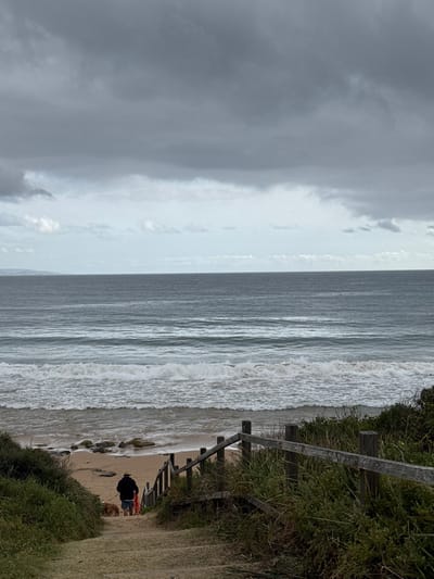 A vertically oriented image displays a coastal scene on an overcast day. Grayish-blue ocean waves crash onto a sandy beach. A person and a dog are walking on the sand near the water's edge. Vegetation and a wooden barrier are along the right side of the image, partially obscuring a path leading down to the beach. Above the ocean, a heavy, gray sky fills the frame.