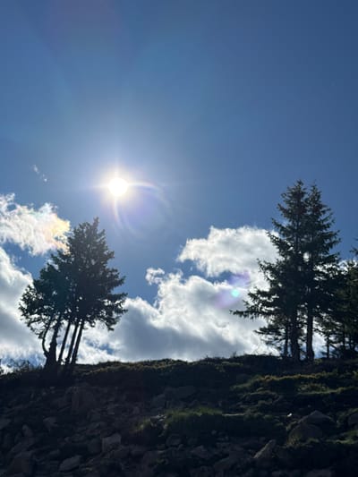 This is a landscape photograph taken outdoors. The image is dominated by a bright sun with visible lens flares, set against a clear blue sky with scattered white clouds. In the foreground, silhouetted trees stand on a rocky, grassy slope. The trees are evergreen, with one cluster of thinner trees on the left and a larger, more prominent tree on the right. The ground is covered in rocks and low-lying vegetation, with patches of grass. The lighting suggests it is daytime, with the sun casting a strong light. No people or specific actions are depicted. The photograph is focused on the natural environment. The prompt mentions the city of Gela, Bulgaria, but there are no visual cues within the image to confirm this location; it appears to be a mountainous or hilly terrain.