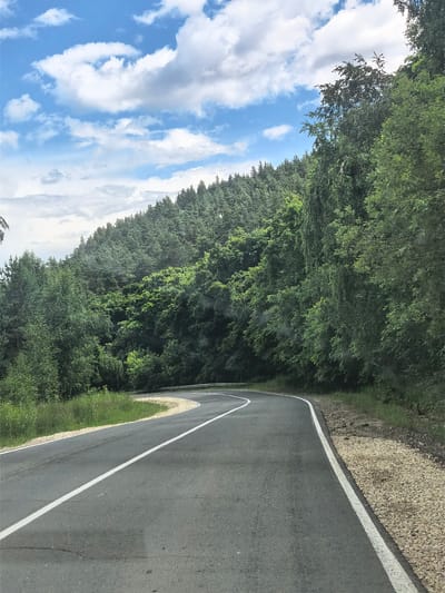 The image shows a paved, two-lane road curving to the left through a forested hillside. The road has a solid white line marking its edge and a dashed white line dividing the lanes. The hillside is covered in dense green trees, with a mix of deciduous and coniferous species. The sky is blue with scattered white clouds. There are no people or vehicles visible in the image. The scene appears to be a natural landscape on the outskirts of a rural area.