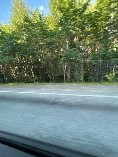 The image displays a blurred scene from a vehicle's perspective, traveling along a road adjacent to a dense forest. The dominant subjects are the road itself, which occupies the right side of the frame and appears to be asphalt with a white line marking, and the trees of the forest on the left. The trees are a vibrant green, suggesting a summer or late spring setting. Sunlight filters through the leaves, creating a dappled effect and highlighting the foliage.
The activity depicted is travel, implied by the motion blur, suggesting the photo was taken from a moving car. The time of day appears to be daytime, likely afternoon, given the quality of light and the shadows cast within the trees. The weather seems to be clear and sunny, contributing to the bright green of the leaves.
There are no people or specific objects clearly visible besides the road and the forest. The overall mood is serene and natural, evoked by the lush greenery and the suggestion of a peaceful journey through the countryside. The location context provided, Кулмас, Russia, places this scene in a specific geographical region, likely characterized by such forested landscapes and roads. No visible text is present in the image.