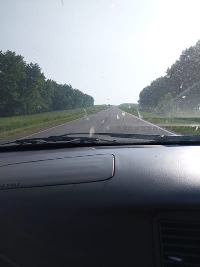 This image provides a POV shot from inside a vehicle, looking out at a straight, paved road that recedes into the distance. The sky is overcast and bright, with a light haze. On either side of the road, dense green trees line the shoulders, with grassy fields visible between the trees and the road. The vehicle's dashboard is visible in the foreground, with the airbag cover and part of the air vent discernible. The windshield has some dirt and smudges on it. No people are visible in the image, and there are no distinguishing landmarks to place this in Solonovka, Russia.